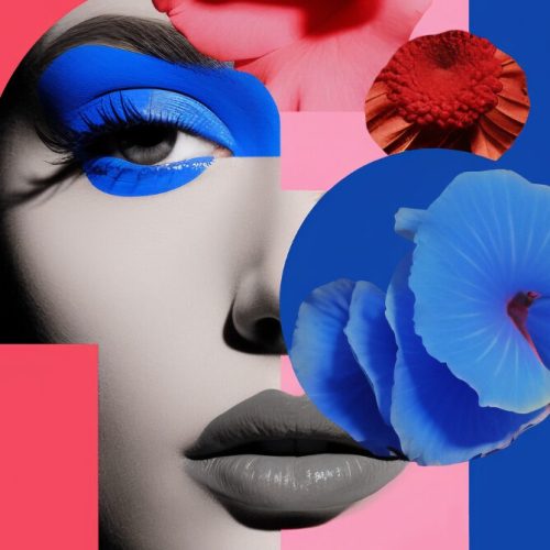 Training <br> programme